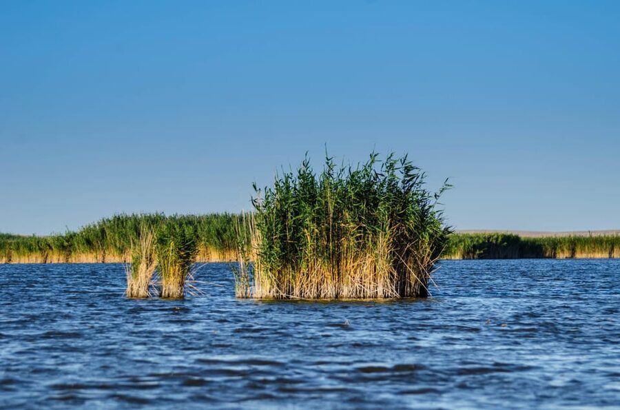 From Bucharest: Day Trip to Danube Delta - Practical ways to get more from the boat ride
