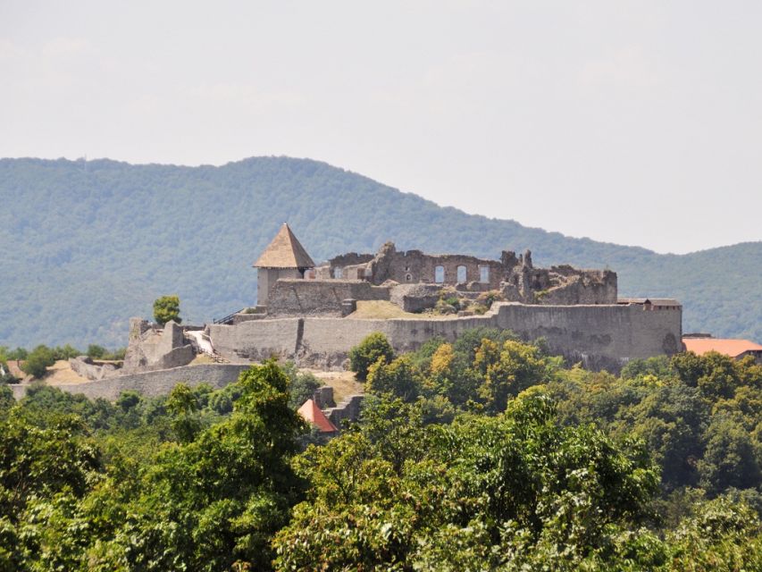 From Budapest: Full-Day Danube Bend Tour with Lunch - Guides, group rhythm, and transport