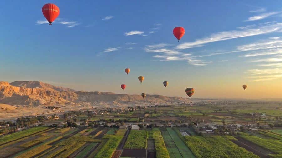 From Cairo: 5-Day Nile Cruise to Aswan & Balloon by Flights - Flying from Cairo and beginning at Karnak