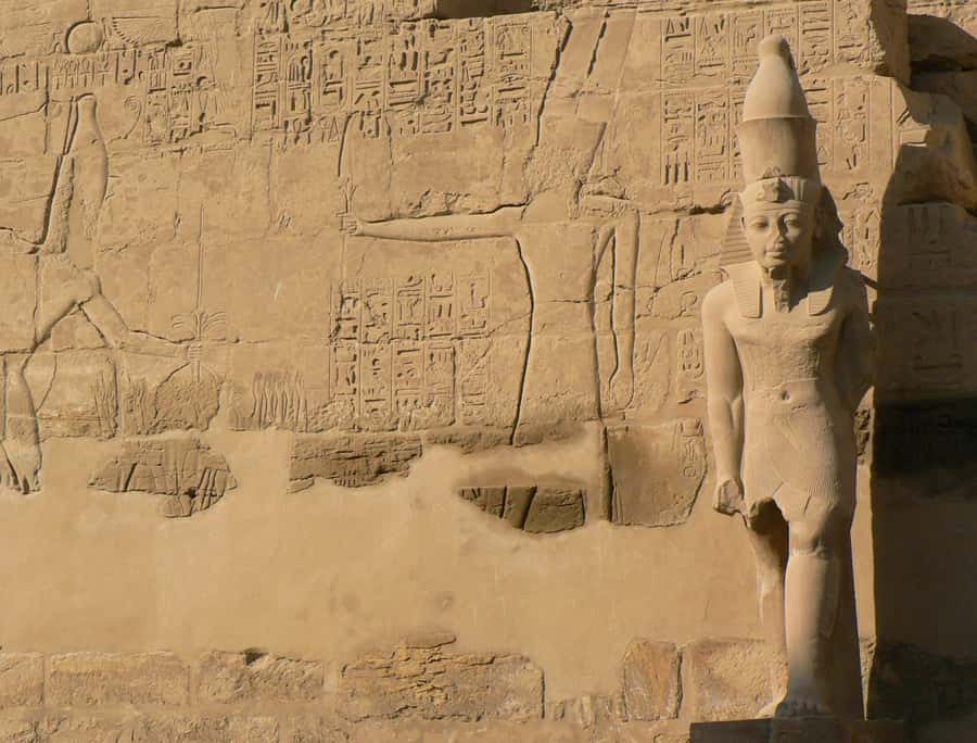 From Cairo: 5-Day Tour with Nile Cruise, Balloon, & Flights - Day 4: Edfu by horse carriage and a full day on the river