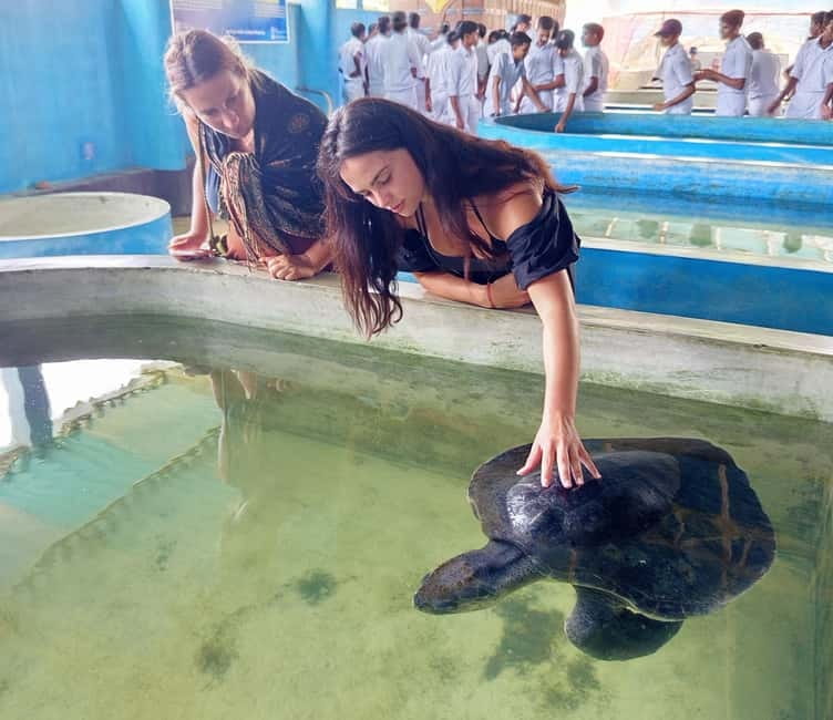 From Colombo/Negombo: Galle, Madu River, and Turtle Hatchery - Key points to know before booking