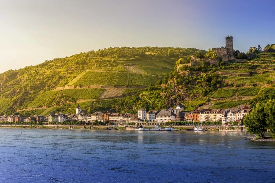 From Frankfurt: Rhine Valley Day Trip - The wine lesson and small tasting