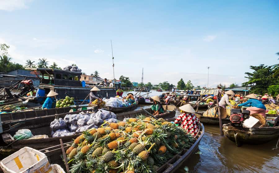 From HCM: Mekong Delta & Cai Rang Floating Market 2-Day Tour - Why two days works better than a rushed day trip