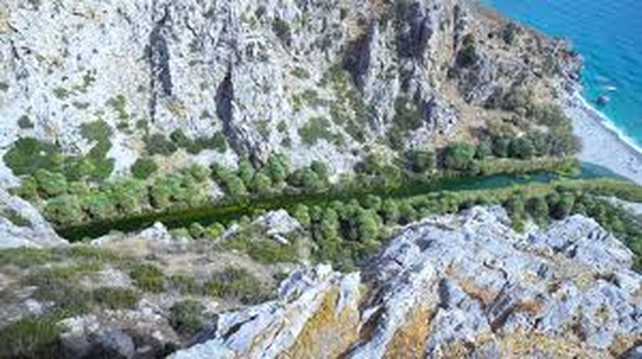 From Herakleion: Day Trip to Preveli Palm River Beach - The climb back is the detail you must plan around