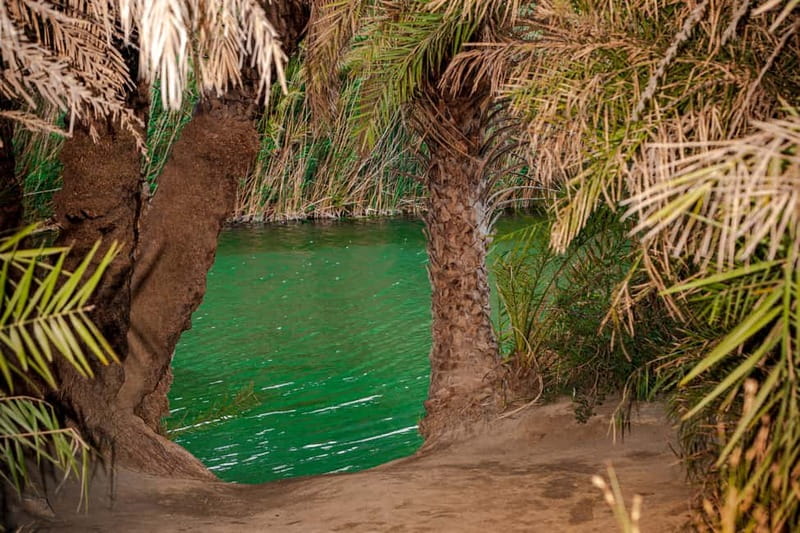 From Herakleion: Day Trip to Preveli Palm River Beach - Who should book this day trip