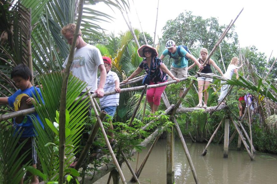 From Ho Chi Minh City: Mekong Delta VIP Tour by Limousine - Who Should Book This Mekong Delta Day Trip?