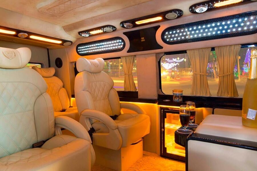 From Ho Chi Minh City: Mekong Delta VIP Tour by Limousine - Vinh Trang Pagoda: A Short Cultural Opening