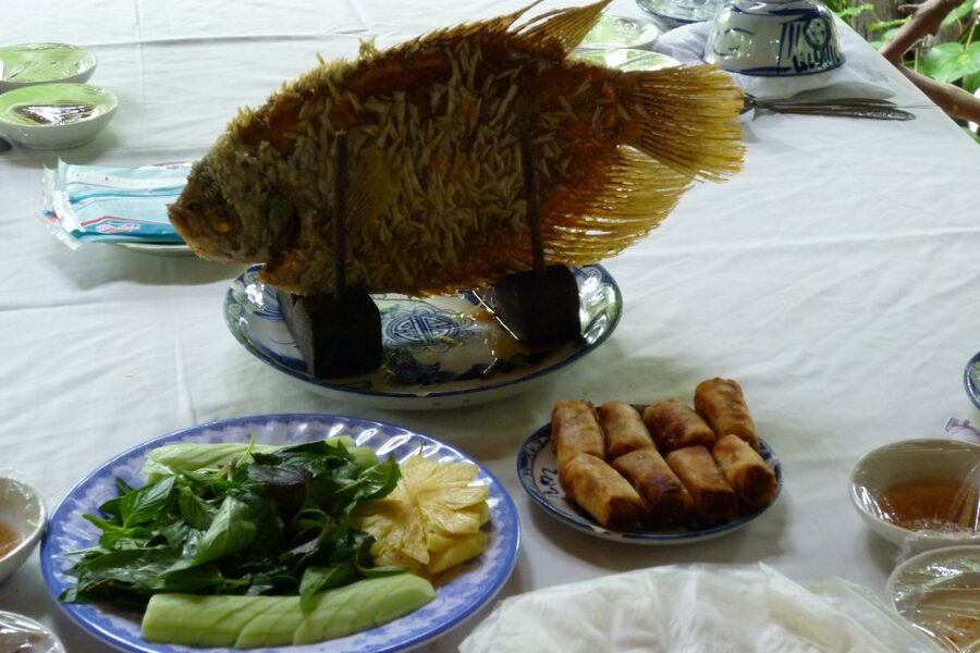 From Ho Chi Minh City: Mekong Delta VIP Tour by Limousine - The Return to Ho Chi Minh City