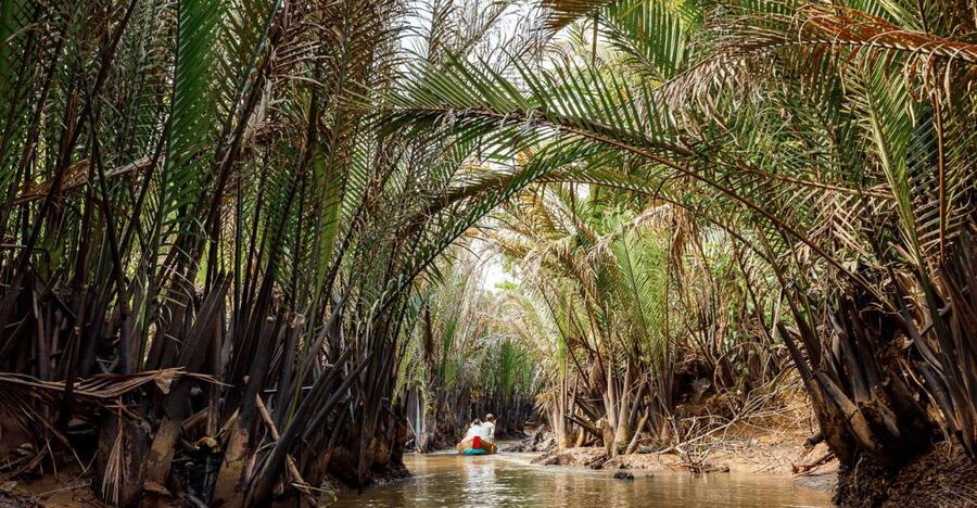 From Ho Chi Minh: Classic Mekong - My Tho, Ben Tre Full Trip - Cruising the Mekong near My Tho and Ben Tre