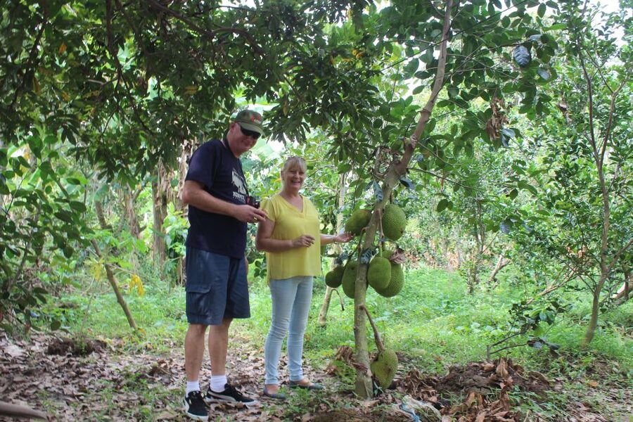 From Ho Chi Minh: Mekong Delta Private Day Tour - Honey tea, fruit, and the working side of the delta