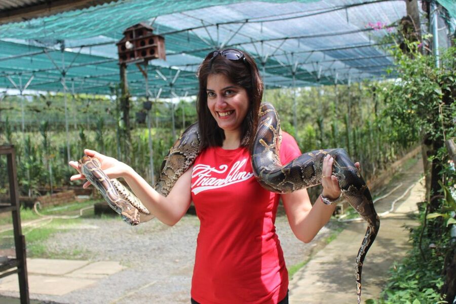 From Ho Chi Minh: Mekong Delta Private Day Tour - Village transport and a included local lunch