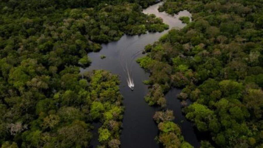 From Iquitos: 3-Day Amazon Jungle Adventure Trip - Sunrise, birds, and river dolphins on day two