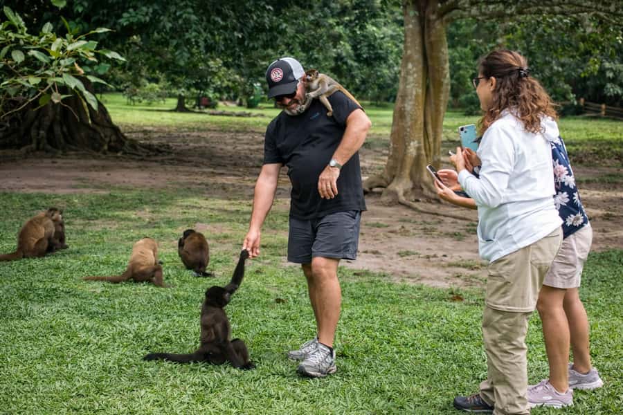 From Iquitos: 3-Day Amazon Jungle Adventure Trip - Botanical walking on the final morning