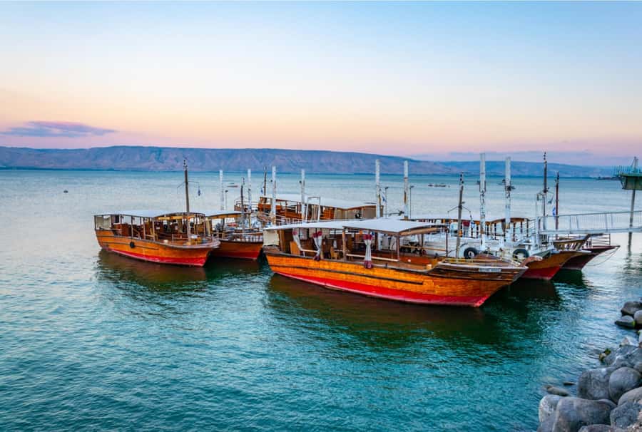 From Jerusalem: Jordan River, Nazareth & Sea of Galilee Tour - Who should book this tour?