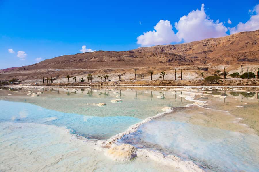 From Jerusalem: Tour of Jericho, Jordan River & the Dead Sea - Guide quality and the pace of the day