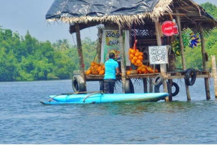 From Kalutara: Exclusive Madu River Safari & Turtle Hatchery - A private vehicle makes the timing easy