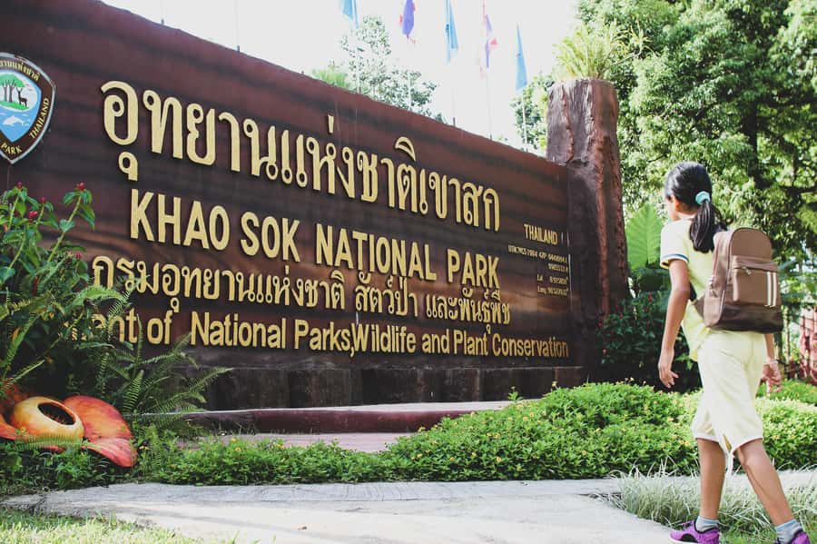 From Khao Lak: Khao Sok Jungle Hike & River Tour - Practical packing advice