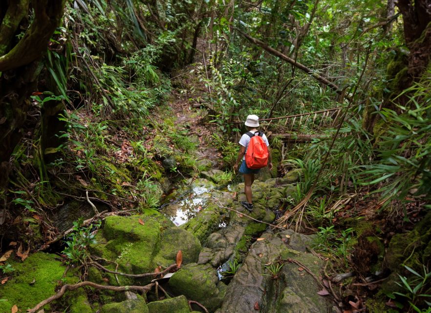 From Khao Lak: Khao Sok Jungle Hike & River Tour - What the $95 price really covers