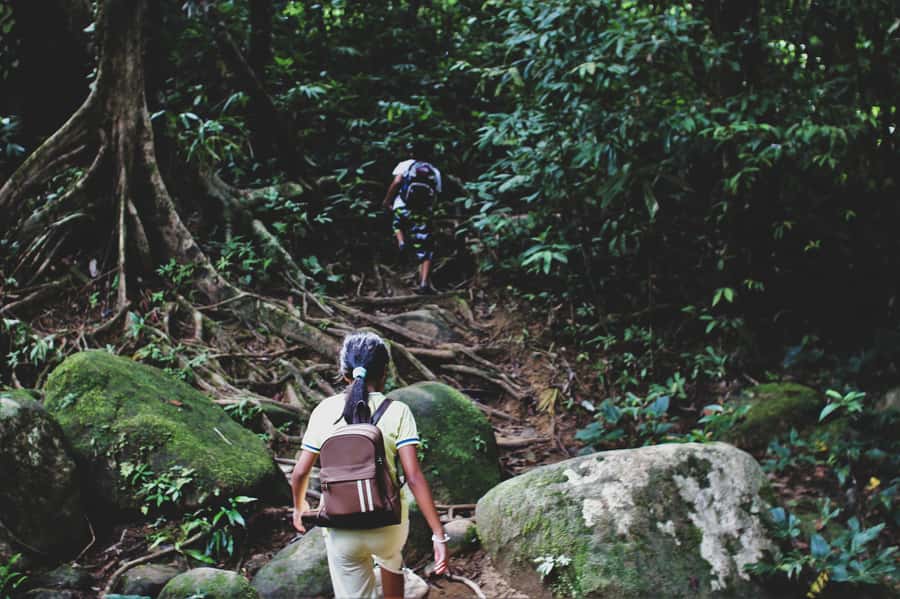 From Khao Lak: Khao Sok Jungle Hike & River Tour - Reading the forest trail with a local guide
