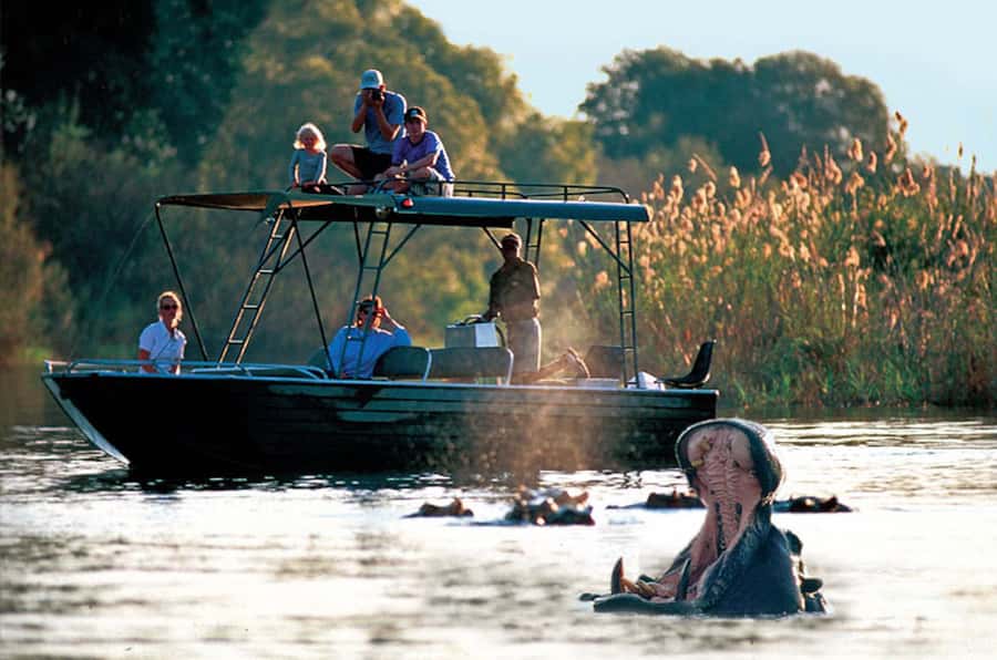 From Livingstone: Victoria Falls River Safari - Slowing down among the islands