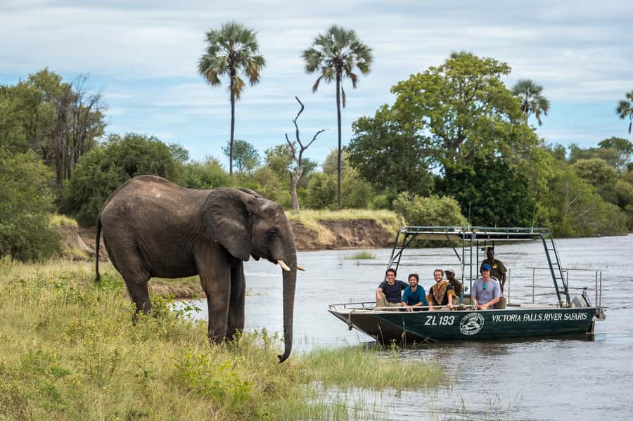 From Livingstone: Victoria Falls River Safari - Practical advice before you go