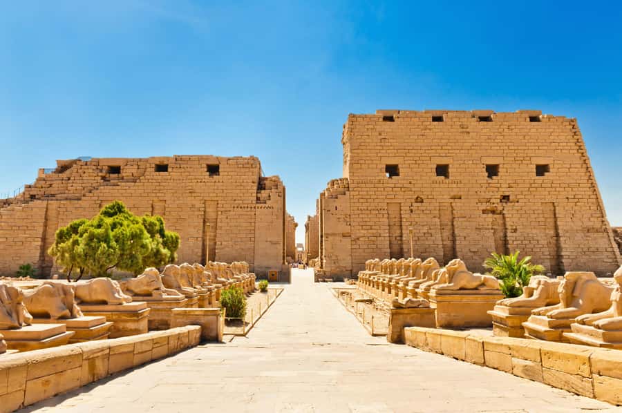From Luxor: 3-Night Nile Cruise to Aswan and Hot Air Balloon - Day four: the long road to Abu Simbel