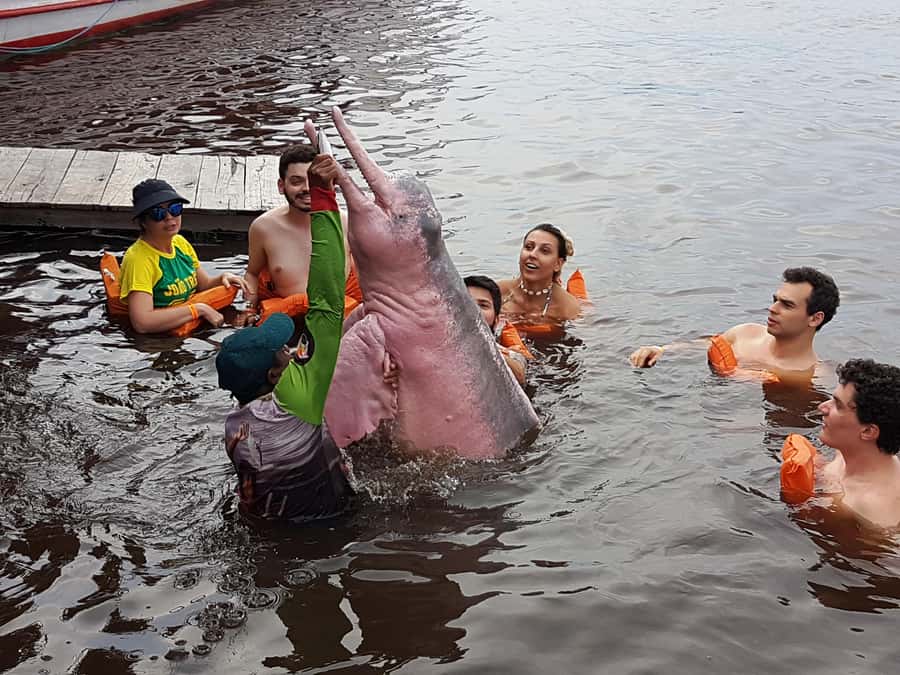 From Manaus: 3 or 4-Day Rio Negro & Anavilhanas River Cruise - Day 3: Choose the shorter cultural program or the longer jungle program