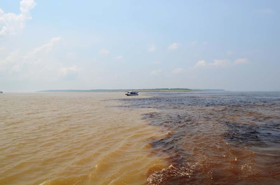 From Manaus: 3 or 4-Day Rio Negro & Anavilhanas River Cruise - Day 4: Tupé Beach and an indigenous community