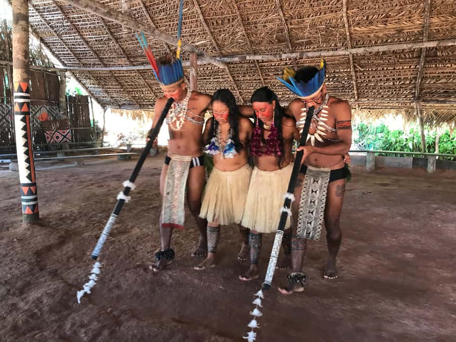 From Manaus: Negro River Half-Day Trip - From Manaus hotels to the Negro River