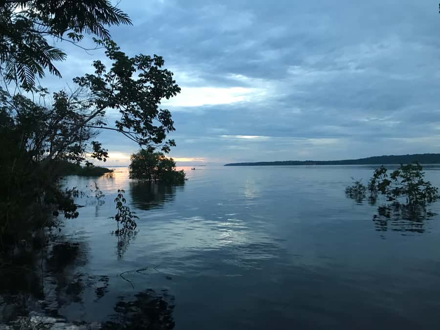 From Manaus: One-Day Amazon Jungle Experience - Key points to know before booking