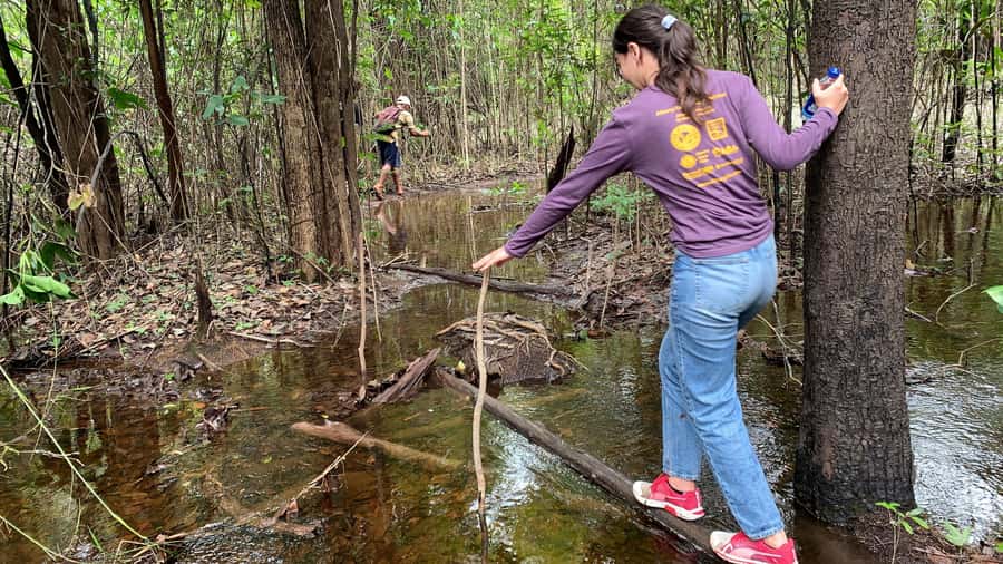 From Manaus: One-Day Amazon Jungle Experience - A simple lunch and a glimpse of local life