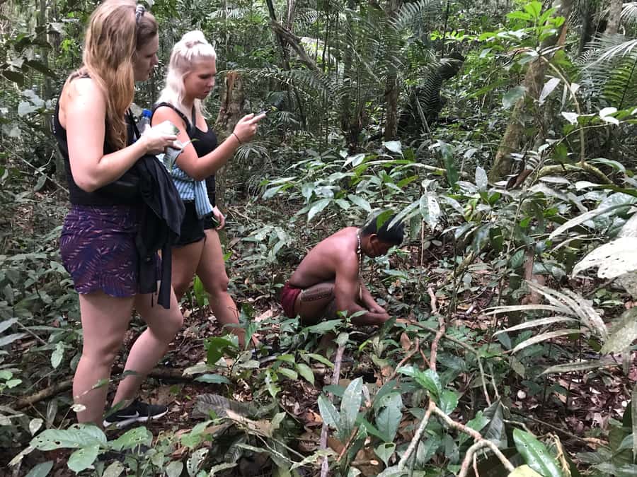 From Manaus: One-Day Amazon Jungle Experience - What the $100 price really covers