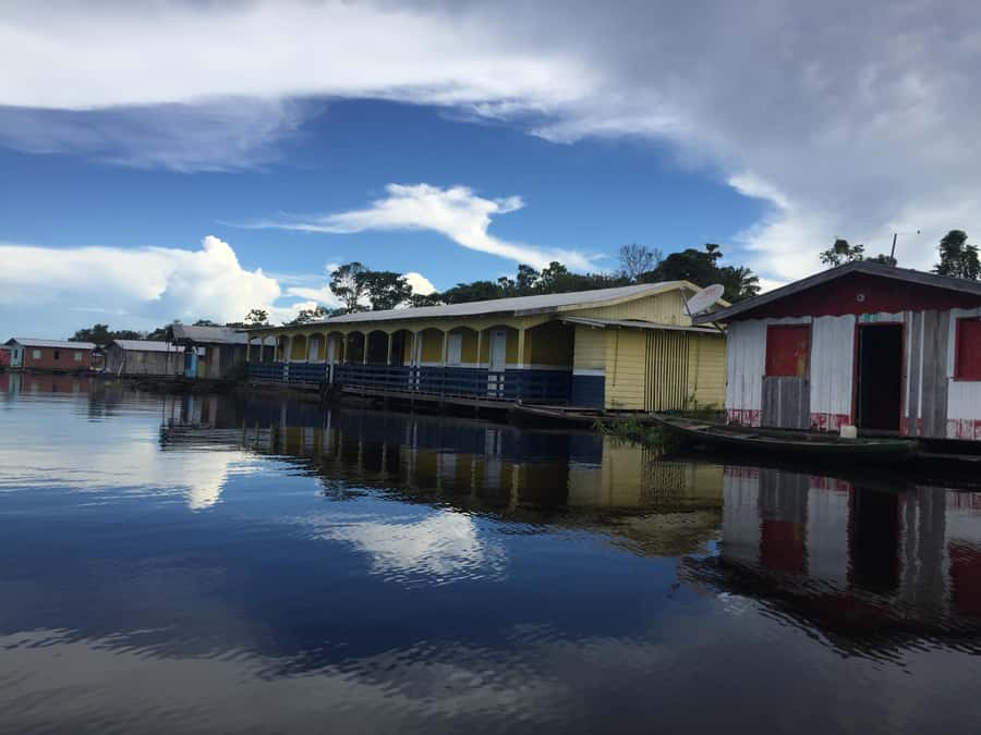 From Manuas: Full-Day River Tour - A full Amazon day from Manaus