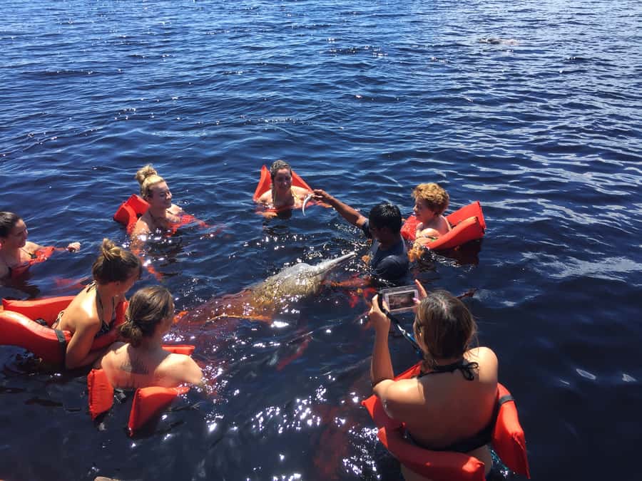 From Manuas: Full-Day River Tour - Practical details that can make or break the day