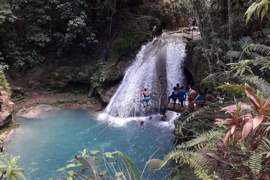 From Ocho Rios: Blue Hole & Dunn's River Falls Tour - The driver matters more than you might expect