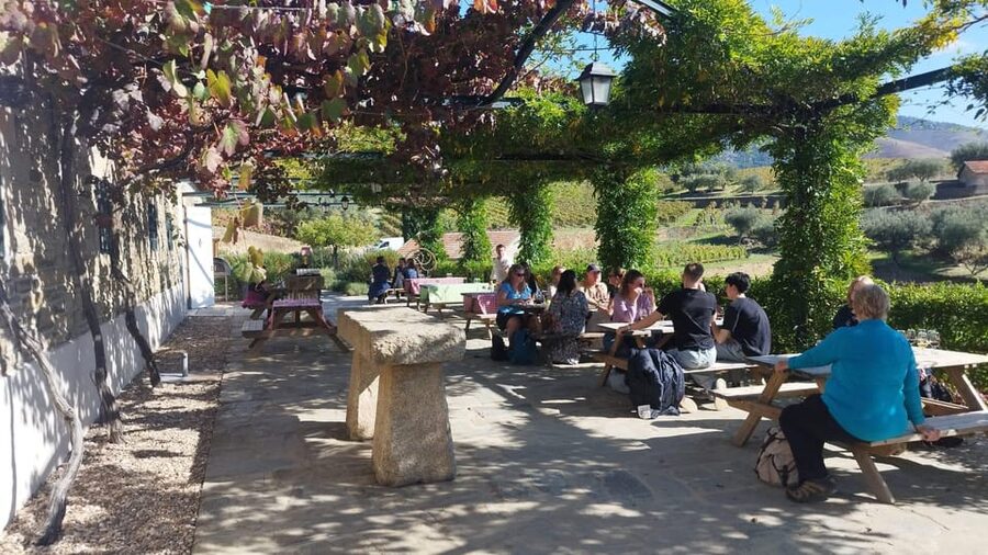 From Pinhão: Douro Valley Tour w/ Wine Tasting and Boat Trip - The viewpoint above the river
