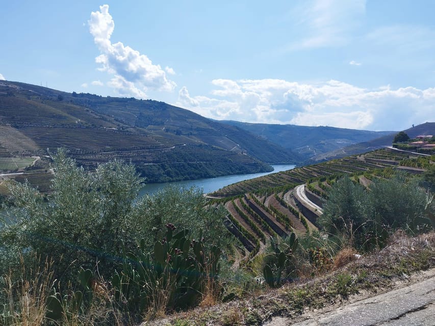 From Pinhão: Douro Valley Tour w/ Wine Tasting and Boat Trip - A local winery and the Port tasting