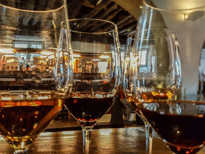 From Pinhão: Douro Valley Tour w/ Wine Tasting and Boat Trip - What the guides add to the day