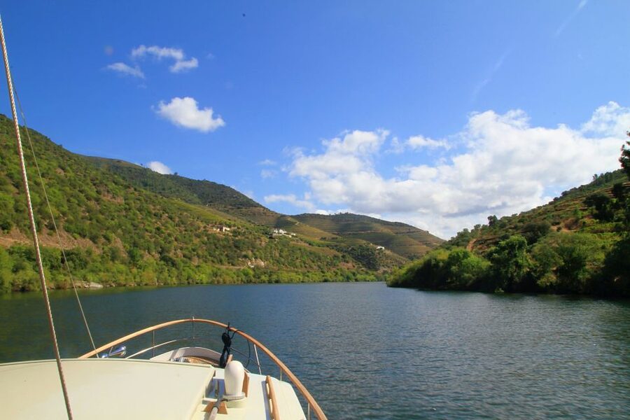 From Pinhão: Private Yacht Cruise along the Douro River - What your guide adds to the ride