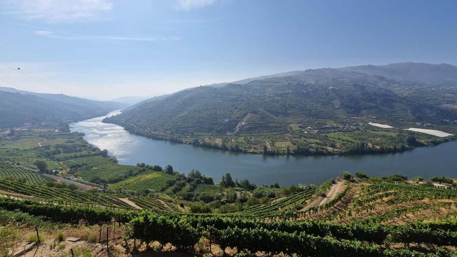 From Porto Day Douro Valley Wine Tour 2 Wine Tasting & Lunch - Why the Douro Valley works best as a full-day trip