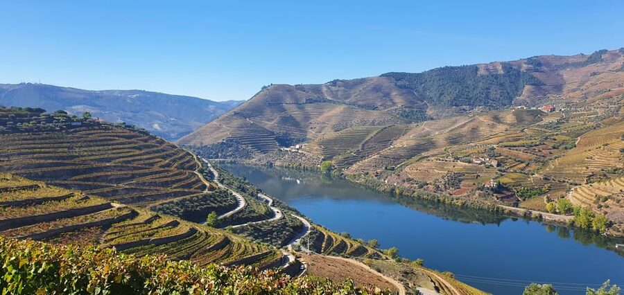 From Porto Day Douro Valley Wine Tour 2 Wine Tasting & Lunch - Pinhão and the Douro from the road