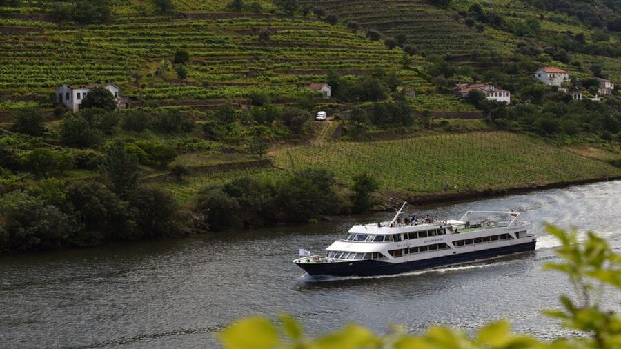 From Porto: Douro River Cruise, Winery Visit & Lunch - The long ride back to Porto