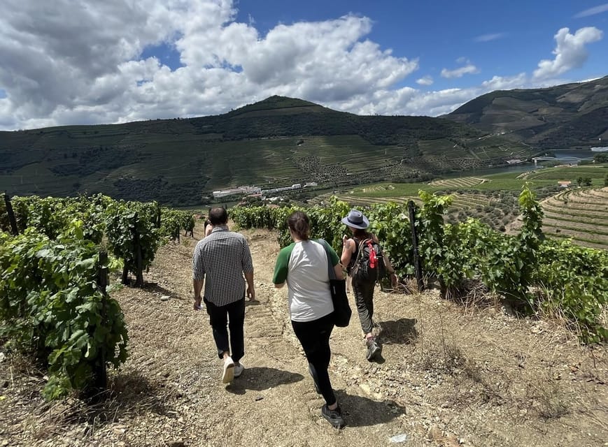 From Porto : Douro Valley sightseeing with 1 Winery Visit - FAQ