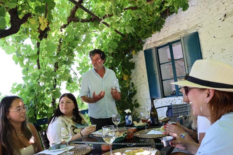 From Porto : Douro Valley sightseeing with 1 Winery Visit - Pinhão for 90 minutes: cruise, lunch, or a walk