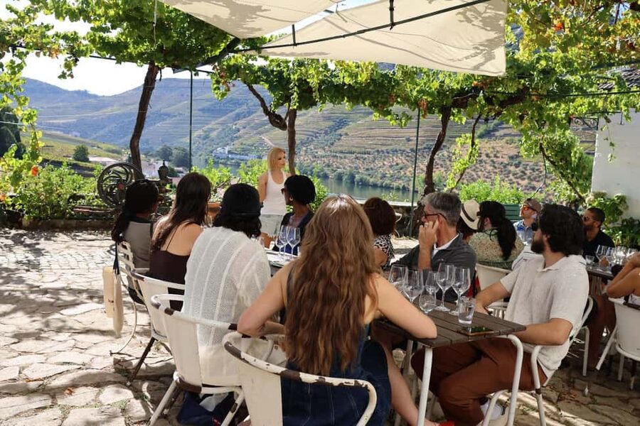 From Porto : Douro Valley sightseeing with 1 Winery Visit - Should you book it?
