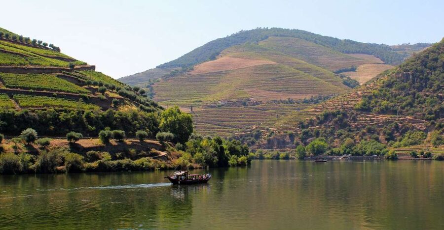 From Porto: Douro Valley Tour with Tastings, Boat & Lunch - What the $165 price really buys you