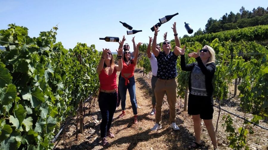 From Porto: Douro Valley Tour with Tastings, Boat & Lunch - Why this Douro day trip works so well from Porto