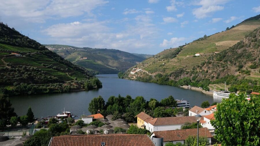 From Porto: Douro Valley Tour with Tastings, Boat & Lunch - First views of the Douro Valley