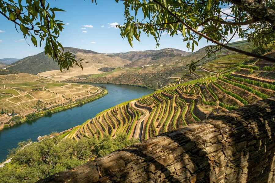 From Porto: Douro Valley Tour with Tastings, Boat & Lunch - Pinhão and the river cruise