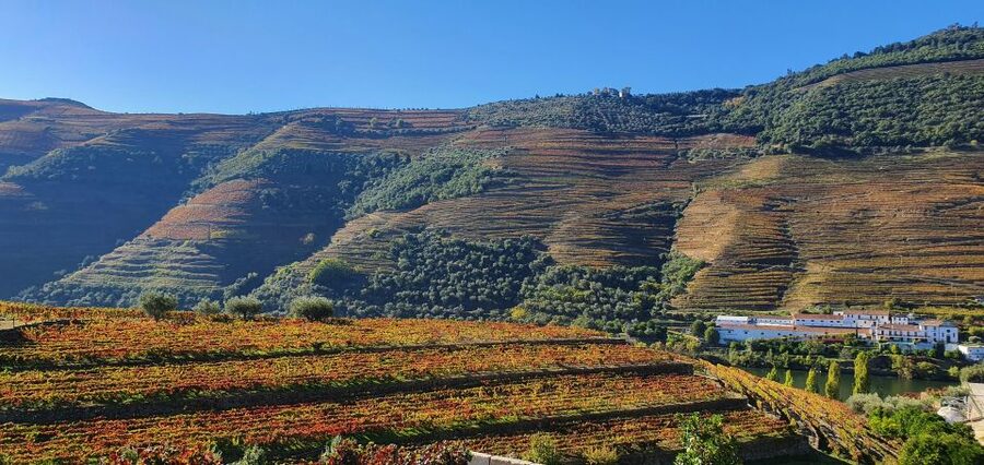 From Porto Douro Valley Tour with Train and Vinho Verde - Who will get the most from this tour